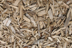 biomass boilers Craigendoran
